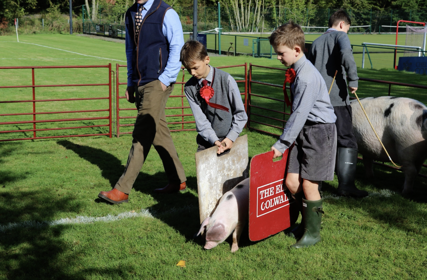 WATCH: The Elms Show